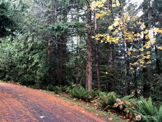 a view of a plants and trees