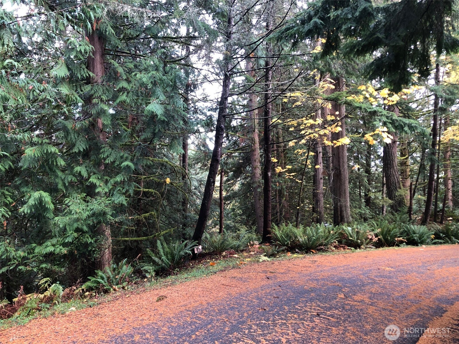 15 Wintercress Way Bellingham, WA 98229 - Photo 3 of 4 a pathway of a yard