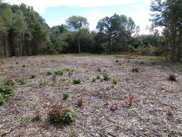 Lot 4 Old Poor Farm Road Ware, MA 01082 - Photo 5 of 6 Gallery Image 5