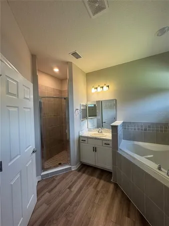a bathroom with a tub sink shower and mirror