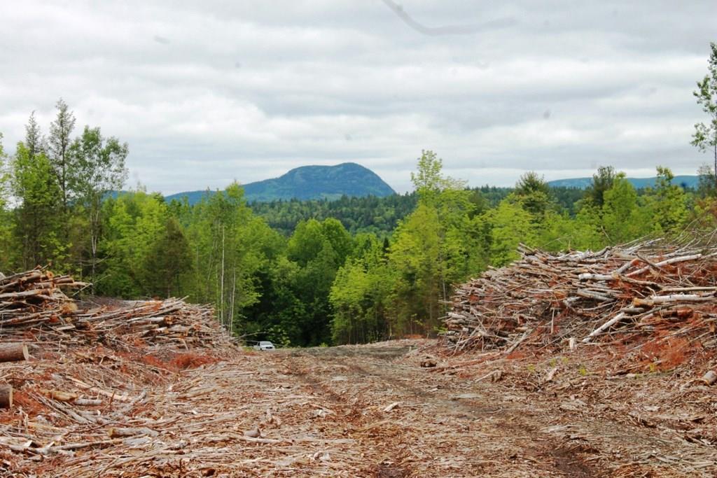 0 Sebec Lake Road Willimantic, ME 04443 - Photo 1 of 4 Excellent view of Borestone MTN. ...