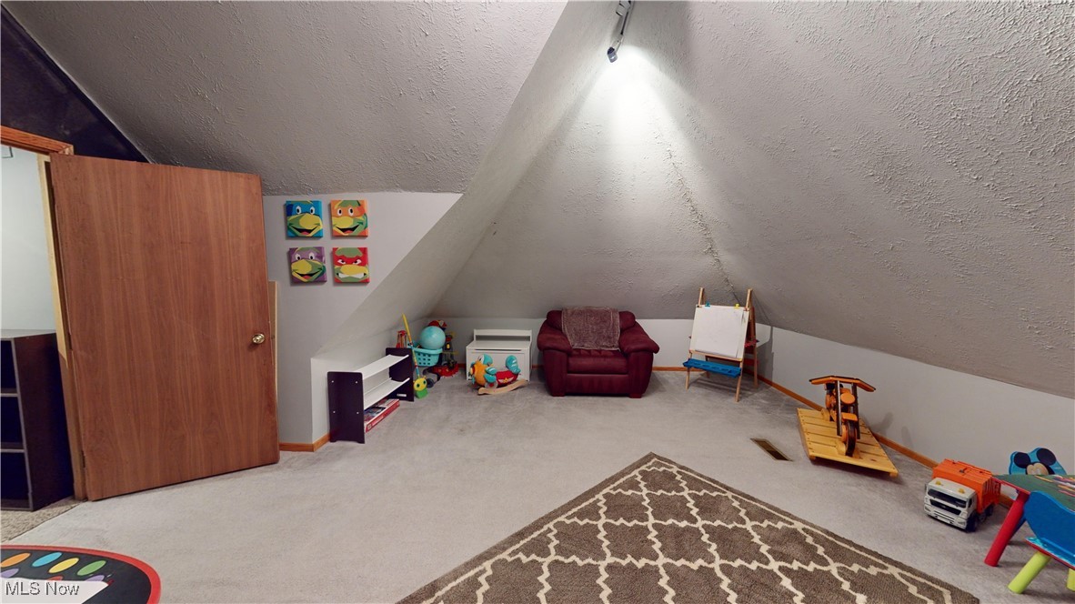571 Ledge Road Macedonia, OH 44056 - Photo 25 of 35 Playroom featuring carpet, vaulted ceiling, and a textured ceiling