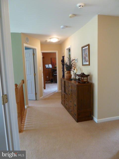 11020 Judith Lane Dunkirk, MD 20754 - Photo 14 of 29 upper level hallway to bedrooms