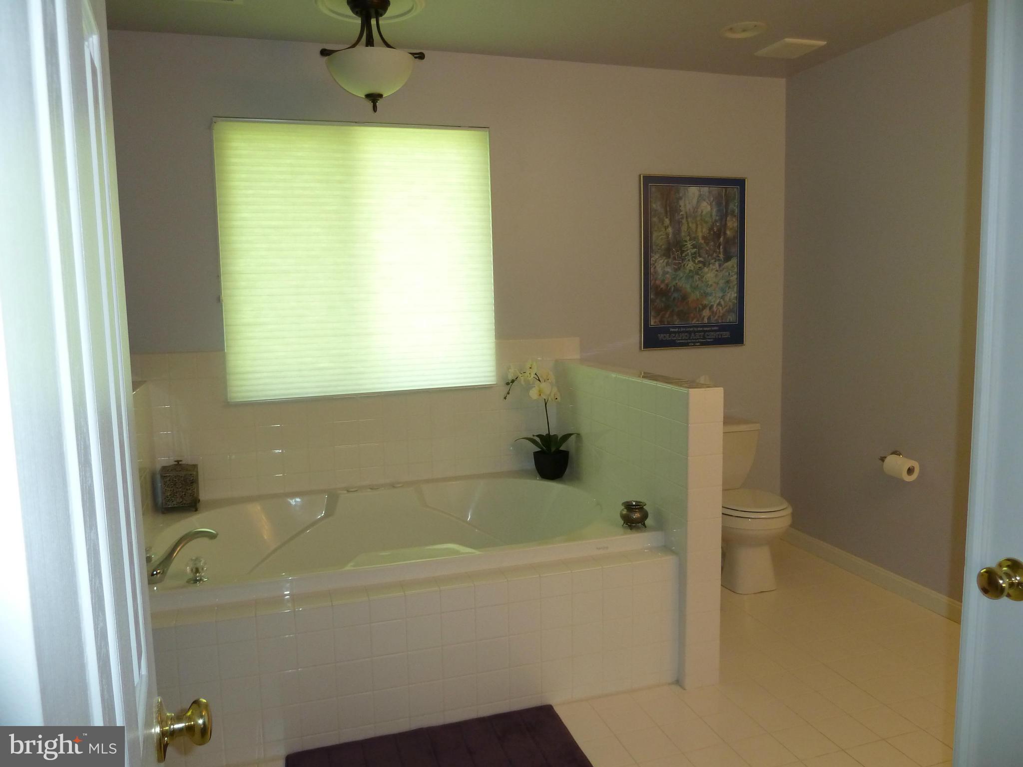 11020 Judith Lane Dunkirk, MD 20754 - Photo 20 of 29 Bath (Master)