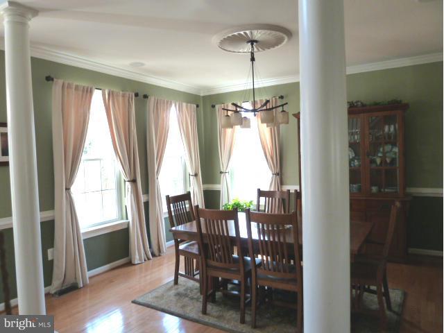 11020 Judith Lane Dunkirk, MD 20754 - Photo 7 of 29 Formal Dining Room with chair rail, crown molding