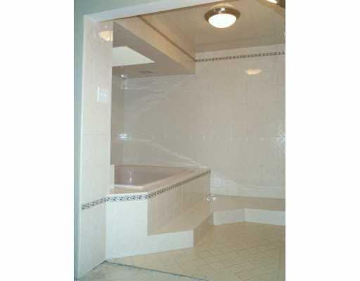 167 Ridgewood Road Pittsburgh, PA 15237 - Photo 7 of 8 Master Bath/Spa.
