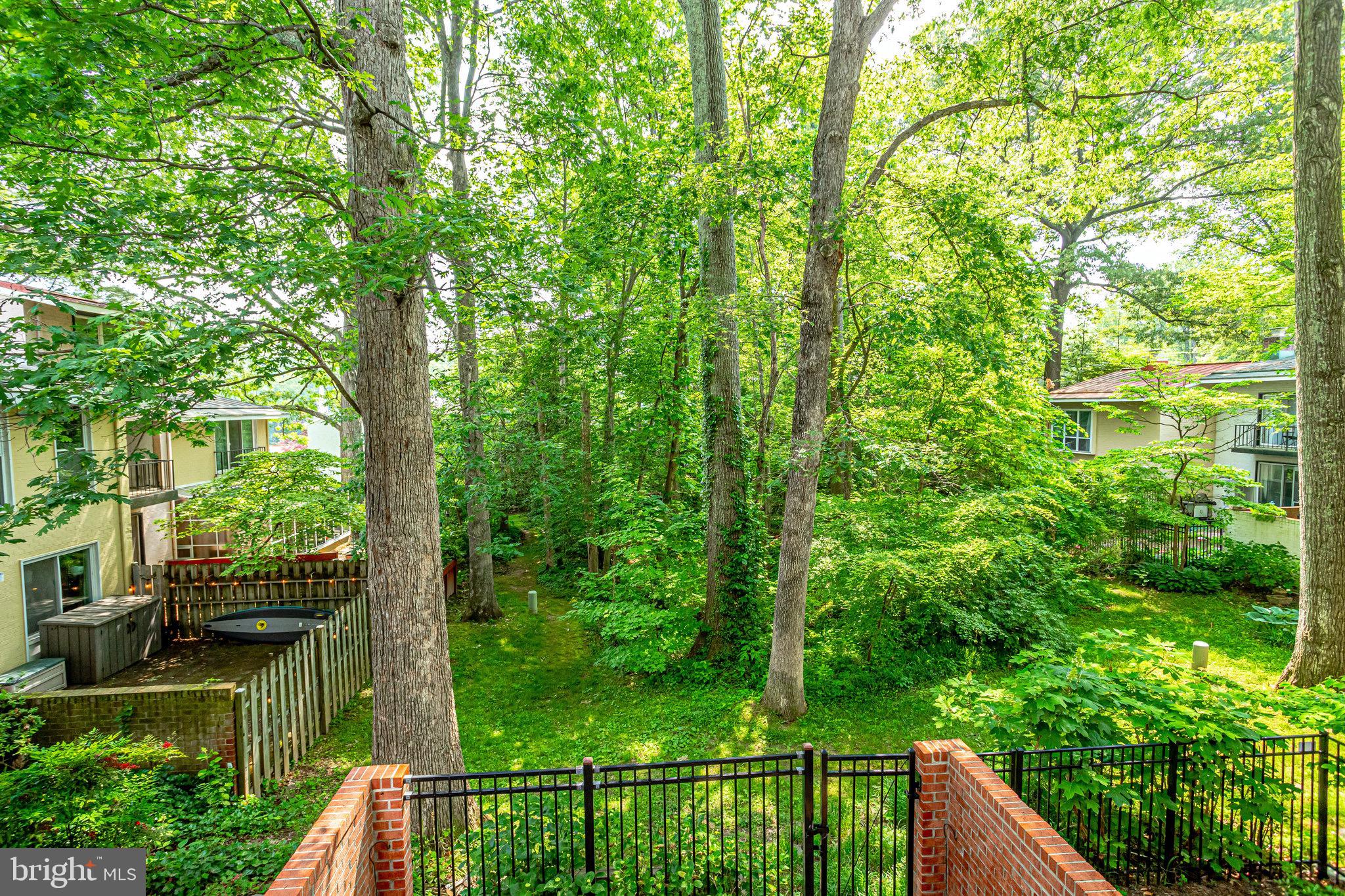 11455 Waterview Cluster Reston, VA 20190 - Photo 56 of 74 Backyard Path Minutes to Lake Anne!