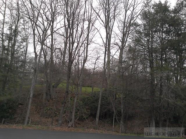 Forest Grove Road Vilas, NC 28692 - Photo 2 of 8 Gallery Image 2