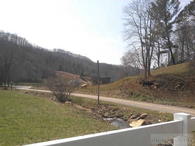 Forest Grove Road Vilas, NC 28692 - Photo 5 of 8 Gallery Image 5