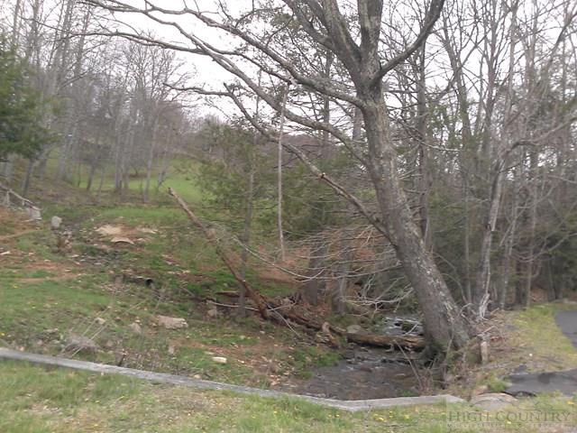 Forest Grove Road Vilas, NC 28692 - Photo 7 of 8 Gallery Image 7