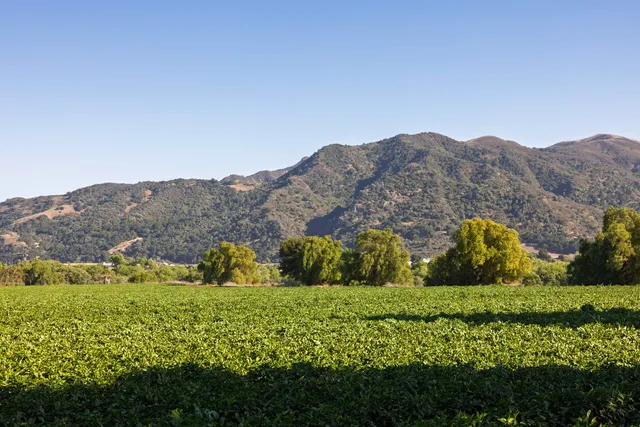 $7,750,000 | 1050 West Highway 246, Buellton, CA 93427