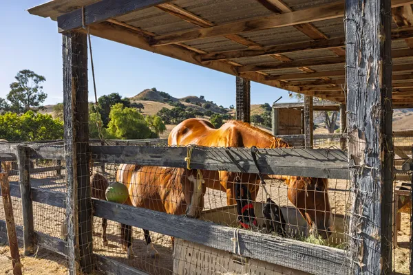 $7,750,000 | 1050 West Highway 246, Buellton, CA 93427