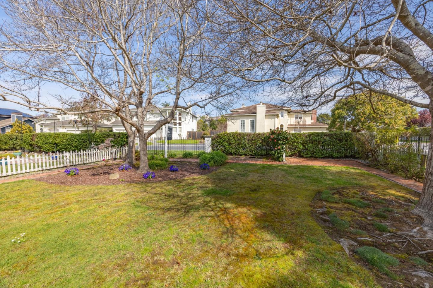21 Pinehurst Lane Half Moon Bay, CA 94019 - Photo 36 of 43 a view of a yard with plants and large trees