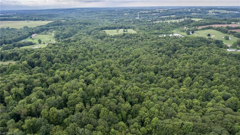 0 Potter Run Road Volant, PA 16156 - Photo 15 of 17