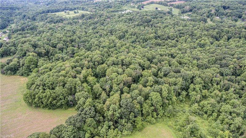 0 Potter Run Road Volant, PA 16156 - Photo 4 of 17