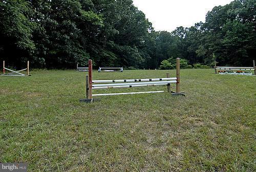 1700 Ednor Road Silver Spring, MD 20905 - Photo 9 of 18 a view of a park with large trees