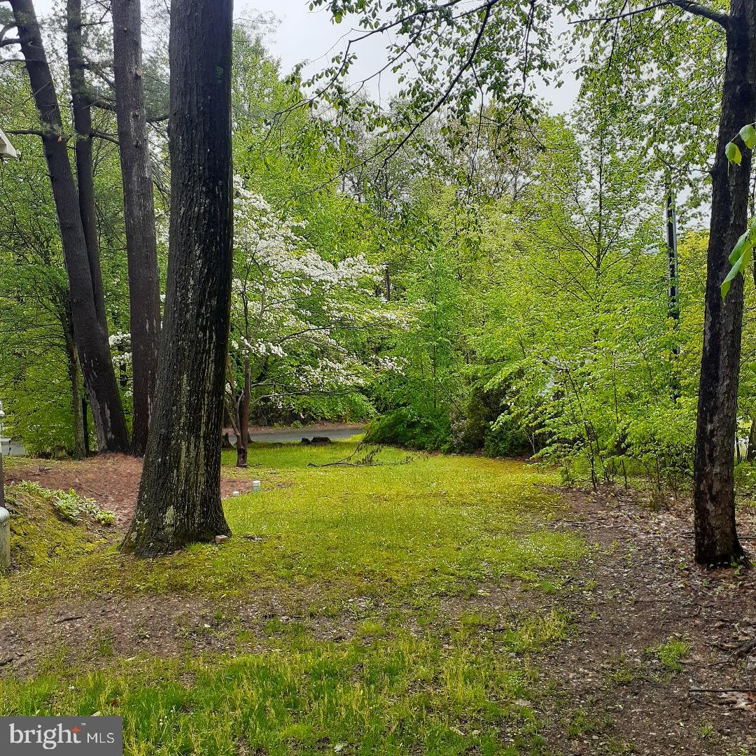 9 Billies Road New Philadelphia, PA 17959 - Photo 4 of 27 west side yard