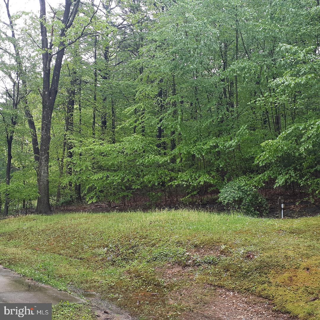 9 Billies Road New Philadelphia, PA 17959 - Photo 5 of 27 back yard