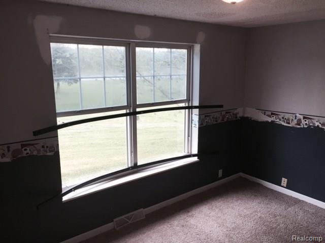 2218 Dunlap Road Smiths Creek, MI 48074 - Photo 15 of 17 FullSizeRender (28).jpg