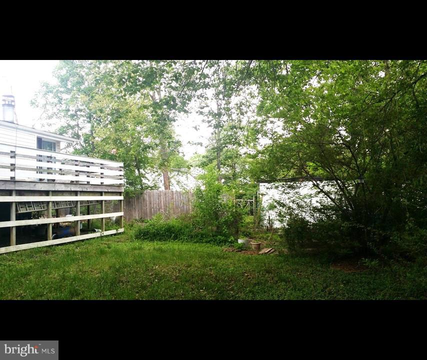 1607 Oldtown Road Edgewater, MD 21037 - Photo 11 of 11 a view of a big yard with potted plants and large tree