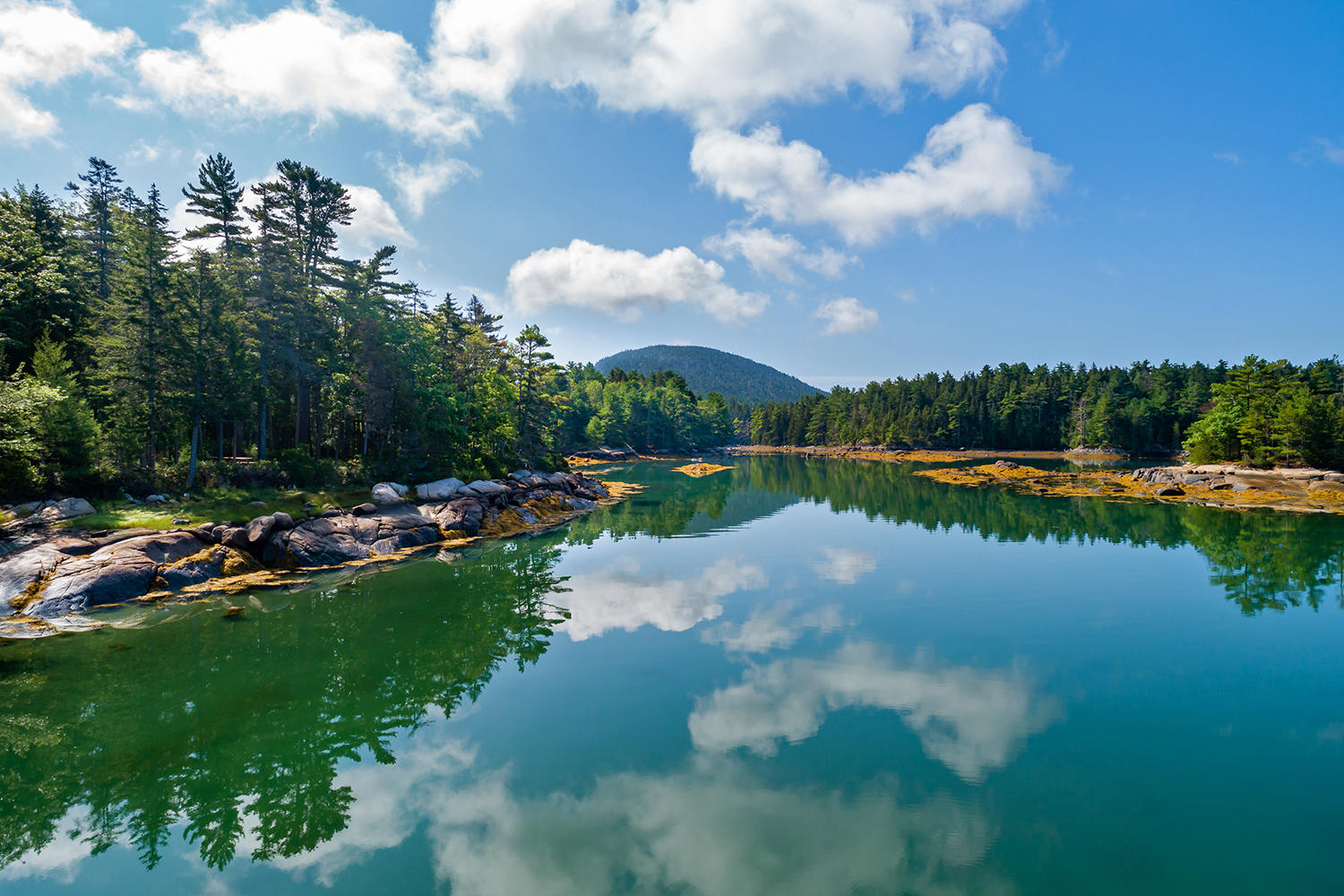 320-330 Sound Drive Mount Desert, ME 04660 - Photo 68 of 68 Cove to Sound