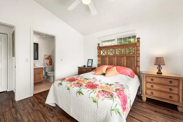 a potted plant sitting in front of a house