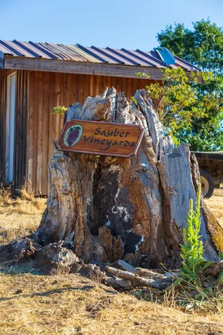 a view of a yard with a tree