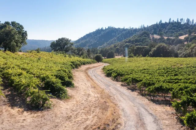a view of a pathway with a garden