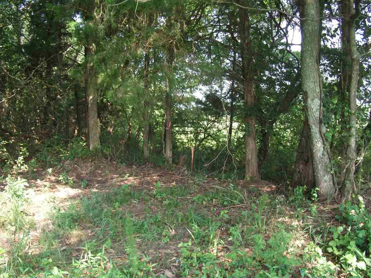 830 Braden Road Mason, TN 38049 - Photo 2 of 7 Gallery Image 2