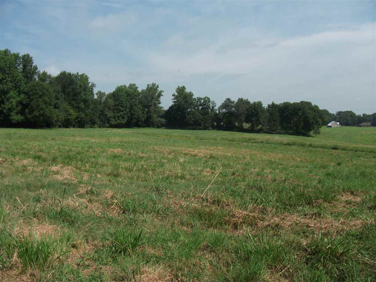 830 Braden Road Mason, TN 38049 - Photo 3 of 7 Gallery Image 3