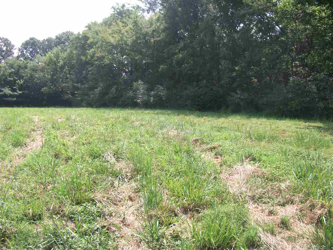830 Braden Road Mason, TN 38049 - Photo 4 of 7 Gallery Image 4