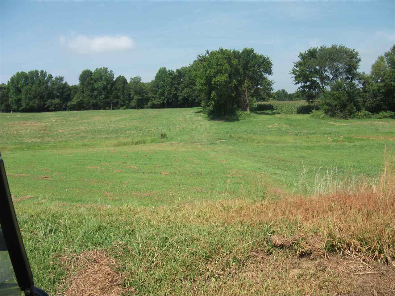 830 Braden Road Mason, TN 38049 - Photo 5 of 7 Gallery Image 5