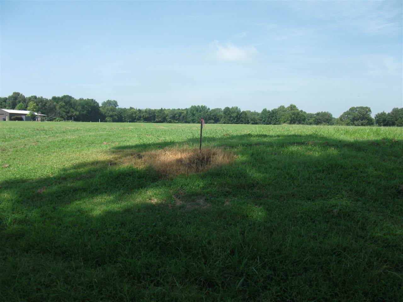 830 Braden Road Mason, TN 38049 - Photo 7 of 7 Gallery Image 7