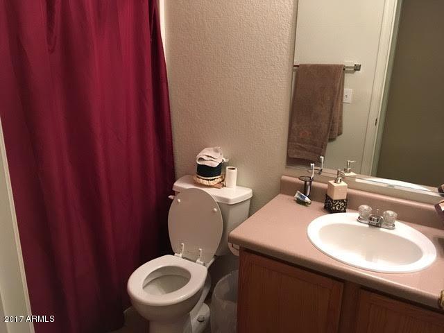 2907 West Tanner Ranch Road Queen Creek, AZ 85144 - Photo 16 of 17 hall bath