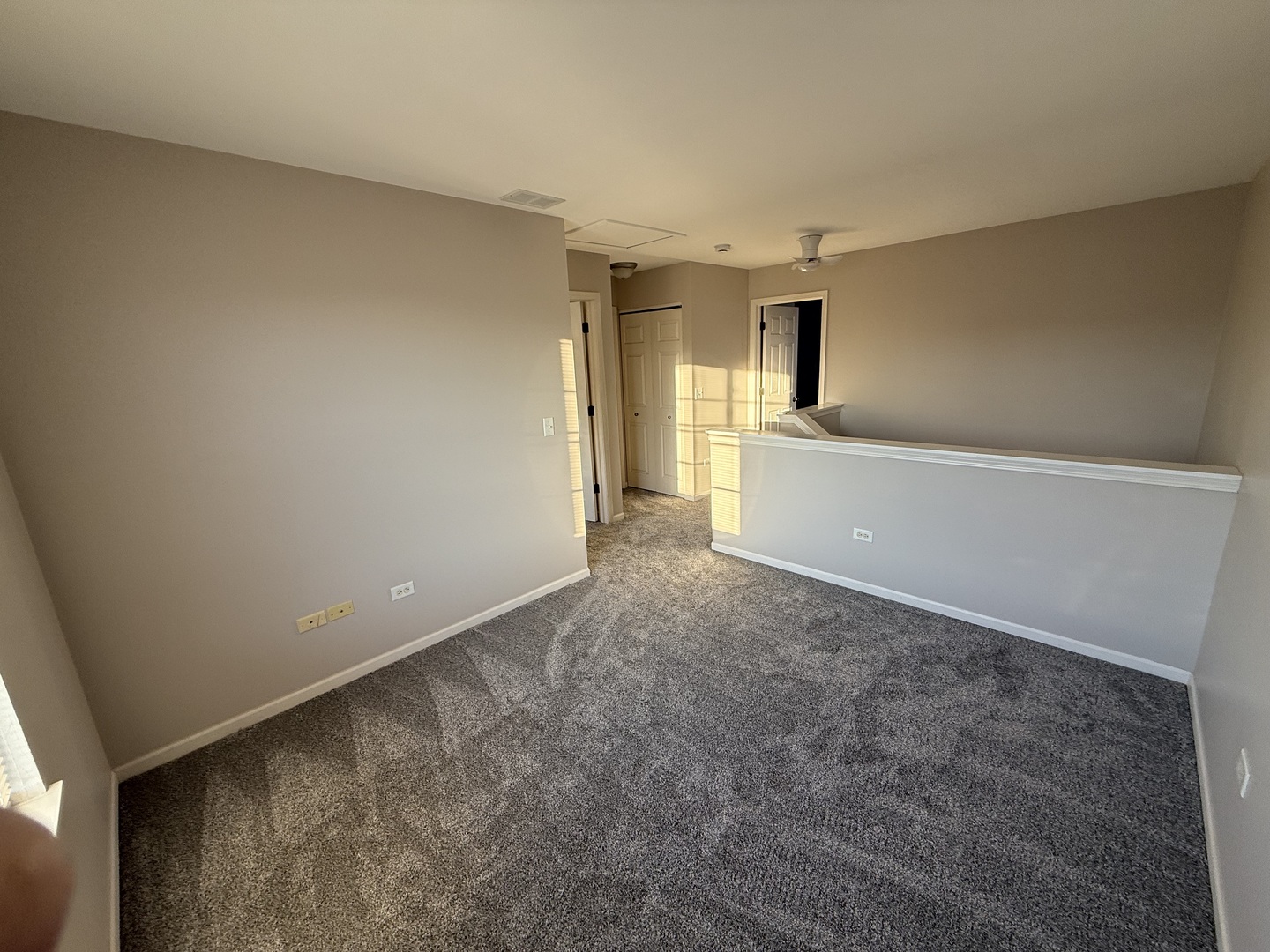 1403 Fabiola Court South Minooka, IL 60447 - Photo 15 of 30 a view of a big room with closet and windows