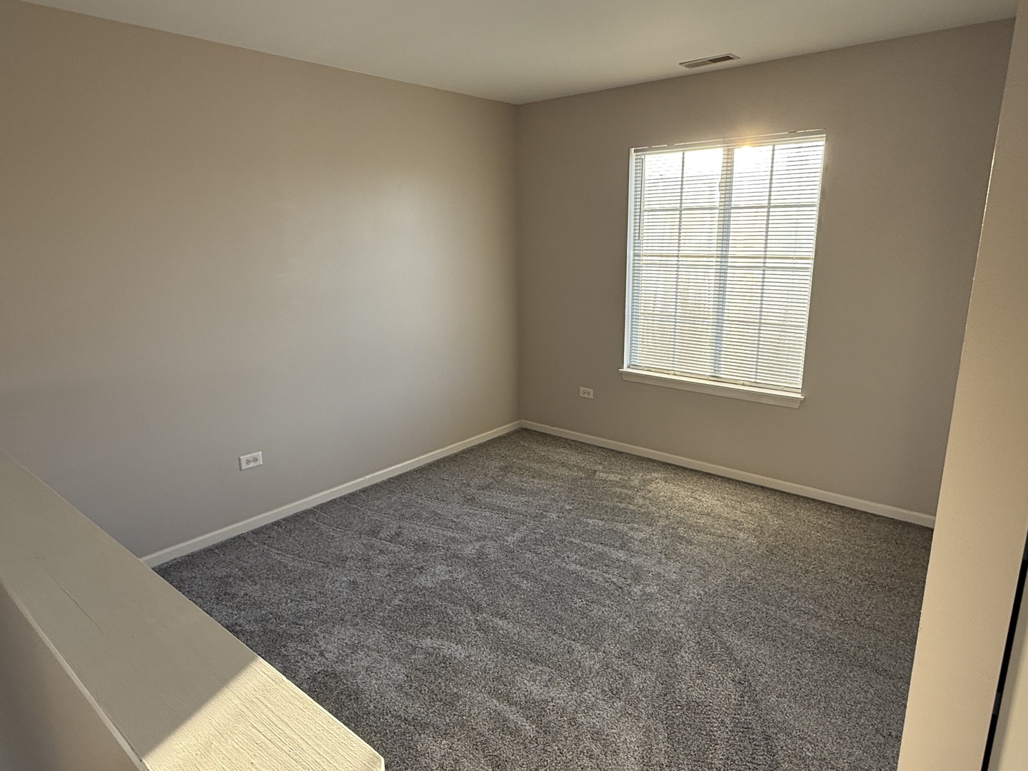 1403 Fabiola Court South Minooka, IL 60447 - Photo 16 of 30 an empty room with a empty space and windows