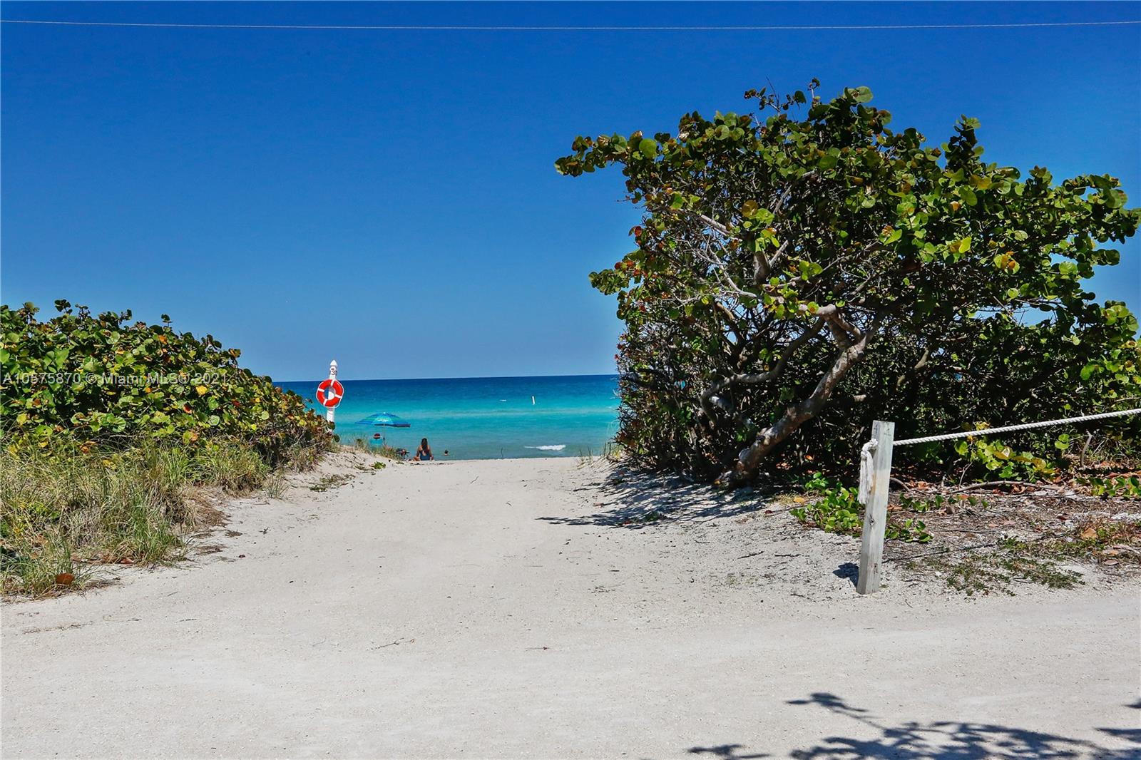 8925 Collins Avenue, Unit 9B Surfside, FL 33154 - Photo 22 of 46 front view of a house with a tree