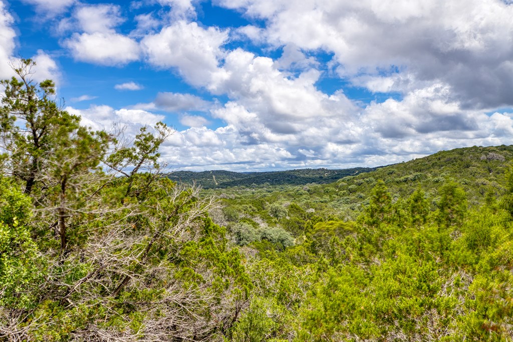 1702 Pinon Loop East Camp Wood, TX 78833 - Photo 16 of 19