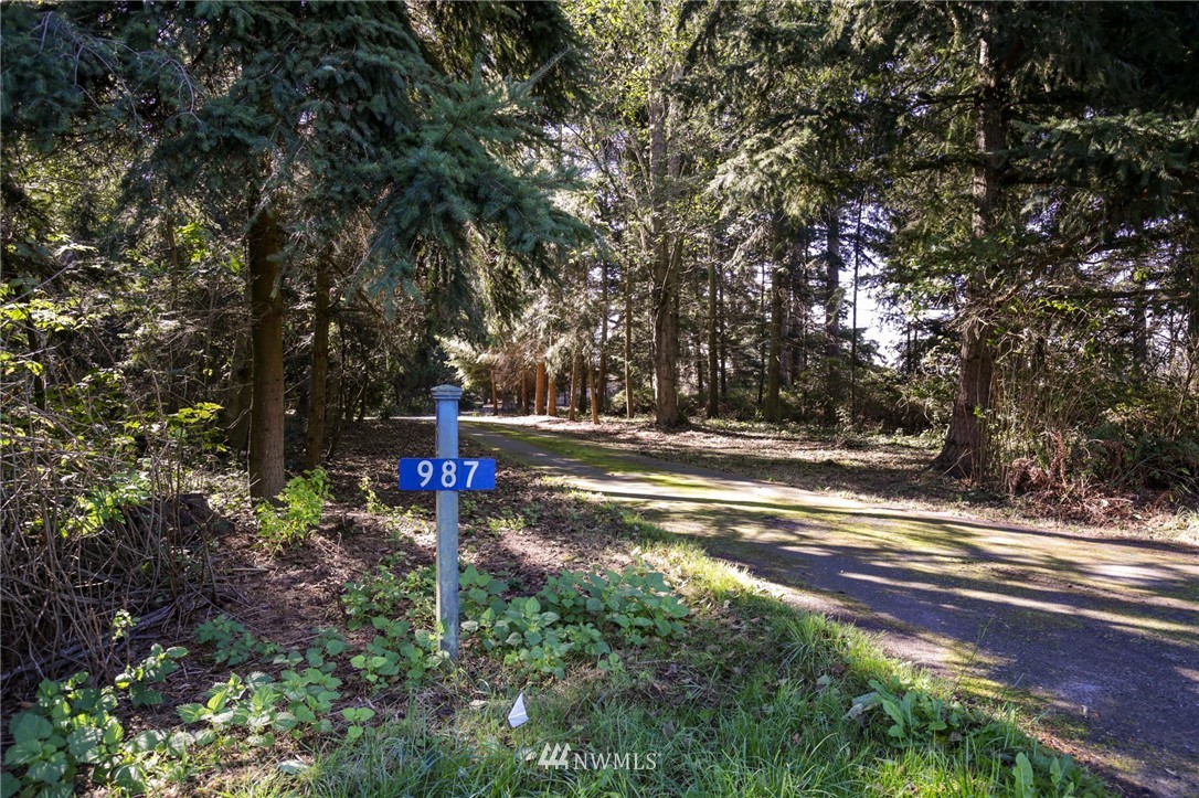 987 West Terry Road Coupeville, WA 98239 - Photo 4 of 31