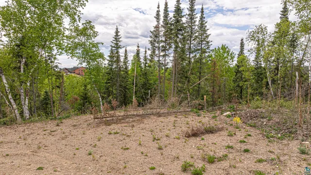 $45,000 | Tbd Hill Top Road, Ely, MN 55731