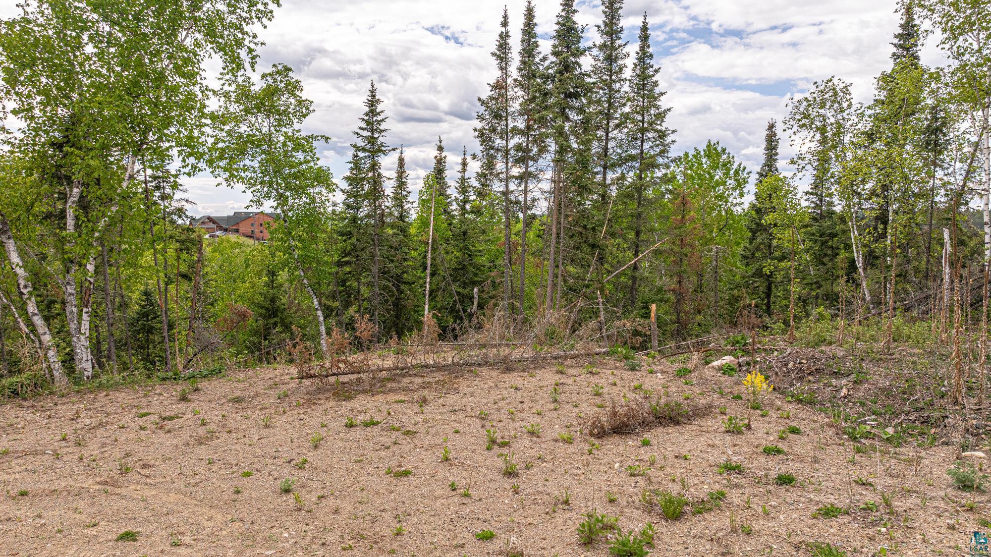 Tbd Hill Top Road Ely, MN 55731 - Photo 10 of 35