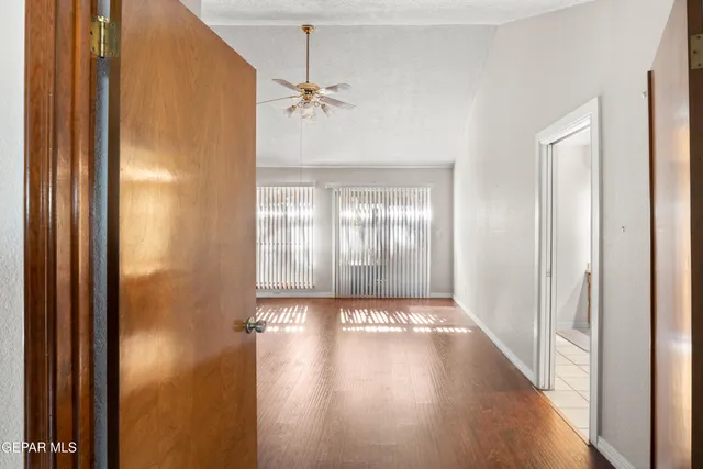 a couple of flower plants in front of a door