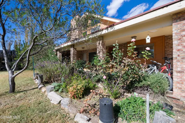 a view of a backyard with plants