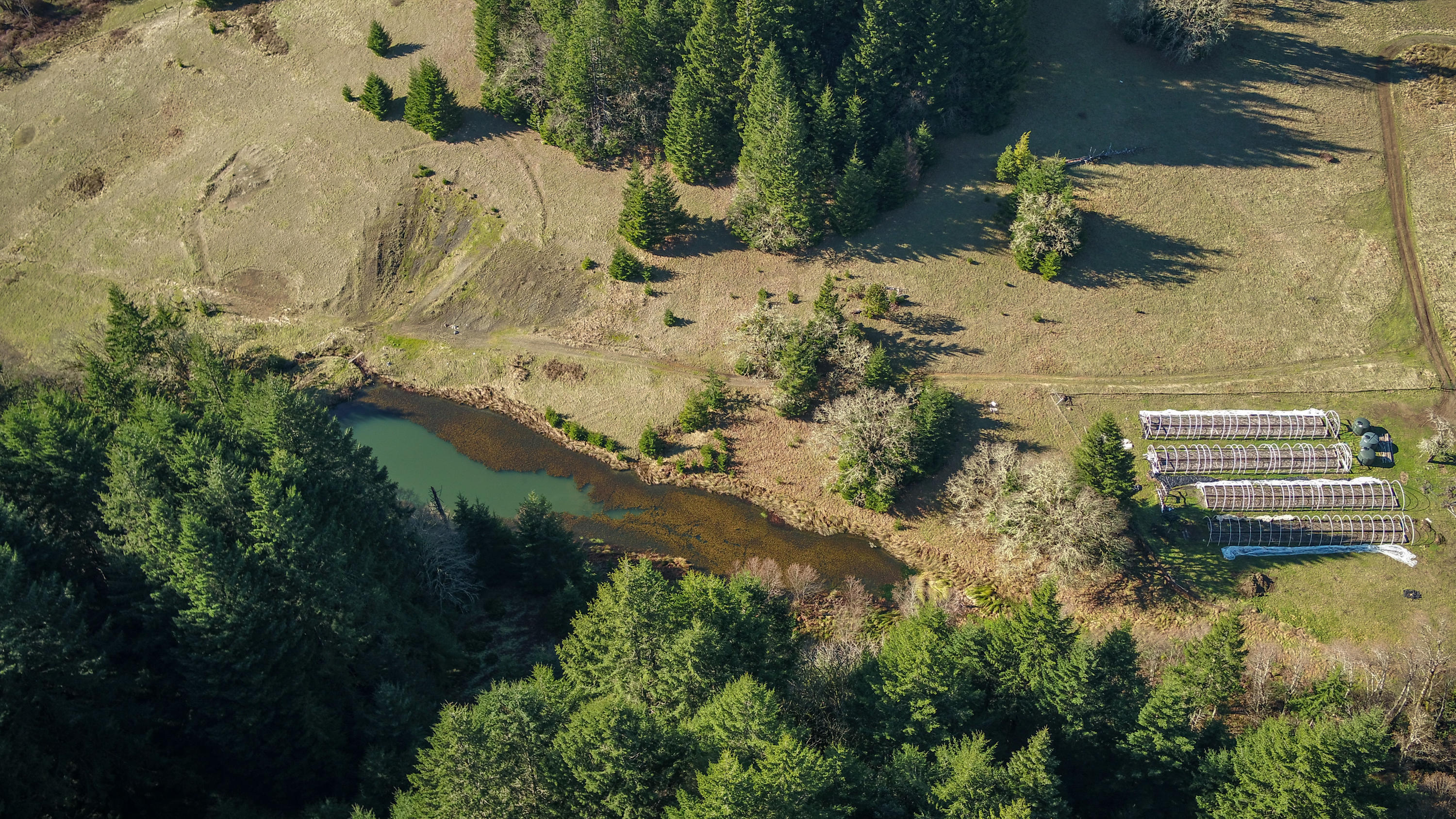 160-acres Butte Creek Road Kneeland, CA 95549 - Photo 36 of 56
