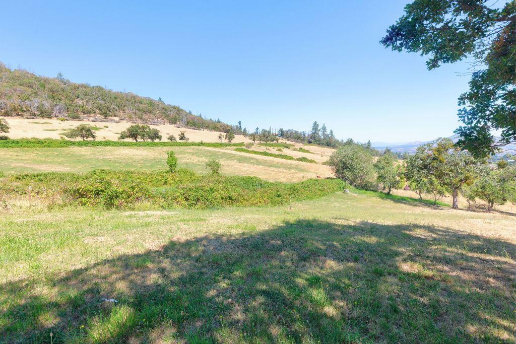 964 Holton Road Talent, OR 97540 - Photo 25 of 34 Q_964-Holton-Rd_April-2_36_0r1a2243_4_5_