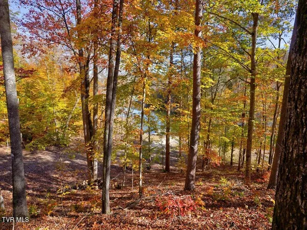 $995,000 | 164 Paradise Point, New Tazewell, TN 37825
