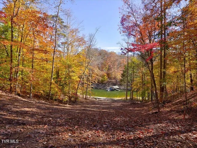 $1,100,000 | 164 Paradise Point, New Tazewell, TN 37825