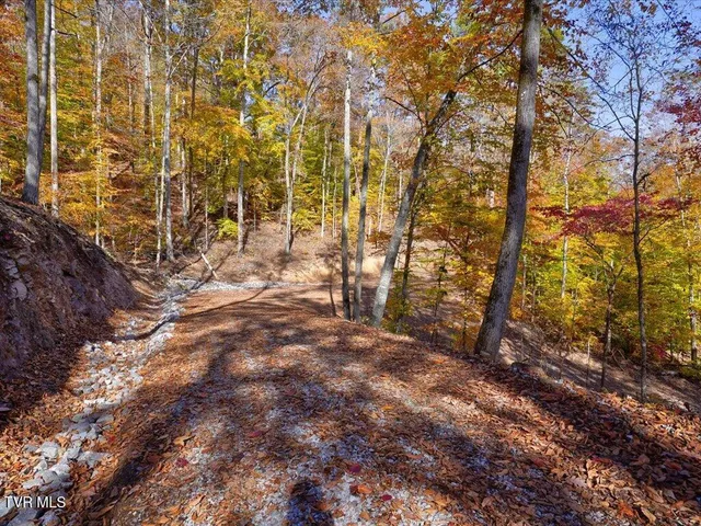 $1,100,000 | 164 Paradise Point, New Tazewell, TN 37825