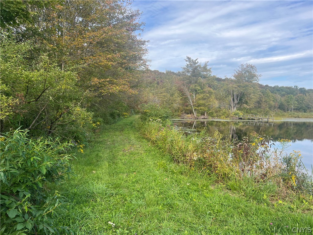 Stramba Road Cincinnatus, NY 13040 - Photo 18 of 23 Gallery Image 18
