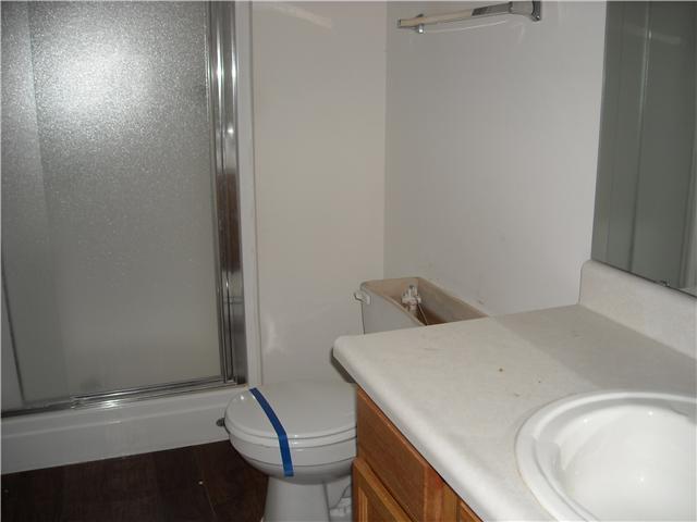 5351 Rippling Brook Way Carmel, IN 46033 - Photo 18 of 19 Gallery Image 18